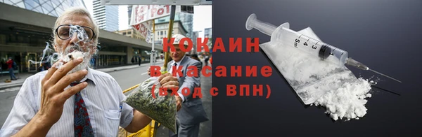 соль ск Каменка