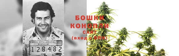 PSILOCYBIN Карталы