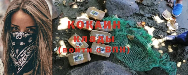 соль ск Каменка