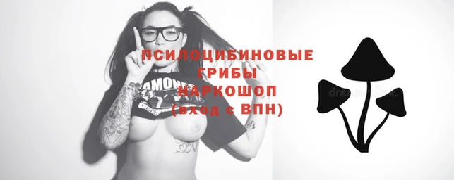 2c-b Касимов