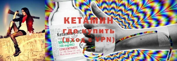 соль ск Каменка