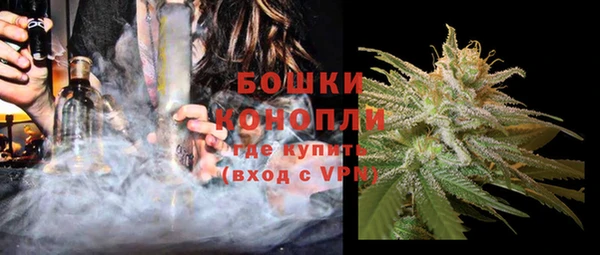 дмт Карпинск