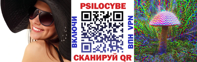 Псилоцибиновые грибы Psilocybe  Купить закладки  Карпинск 
